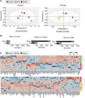 Transcriptomics reveals a distinct metabolic profile in T cells from severe allergic asthmatic patients